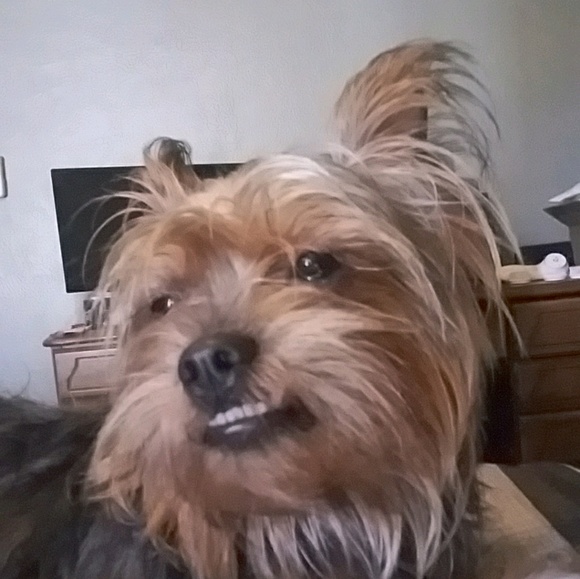 Meet your Posher, Austin - Picture 1 of 1